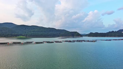 Fishing Cages for Breeding Fish in Lake in Mountain Valley of Rhodope Mountains Under Cloudy Sky