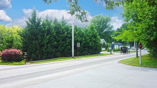 An Amish Horse and Buggy Trotting Along a Country Road on a Sunny Summer Day