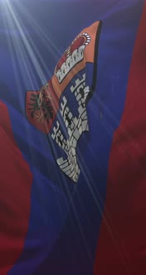 Waving Flag Animation with Detailed Stylized Crest and Light Rays