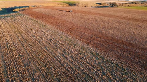 Tractor in the field