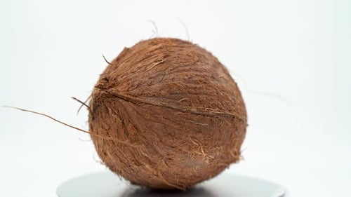 Coconut close up on white background isolated 4K