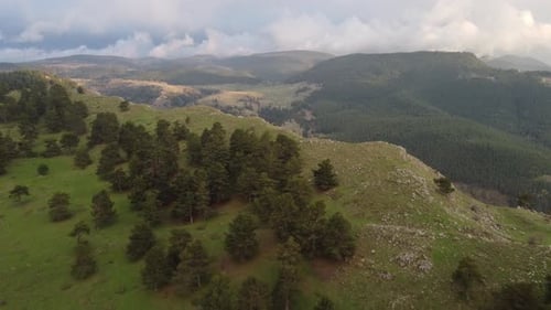 Wonderful Mountain And Forest View 4K Dron Shooting