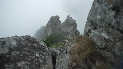Mystical rocks in the mountains in foggy weather