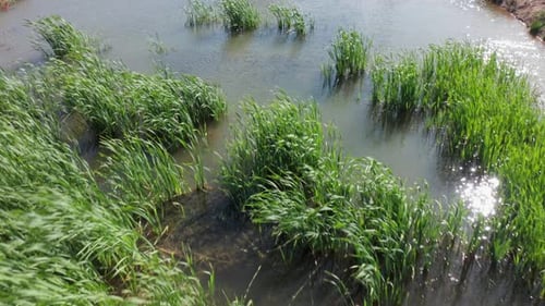 Tiefer Luftflug über einem Teich, 4k