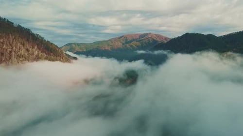 Explore the Breathtaking Fogcovered Mountains of Colorado at Sunrise