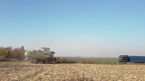 Corn Harvest 2022 in Ukraine during the War with Russia 1080p