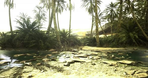 Animated Desert Oasis with Flowing Water