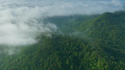 Aerial view morning scenery Mist flowing over the high mountains.