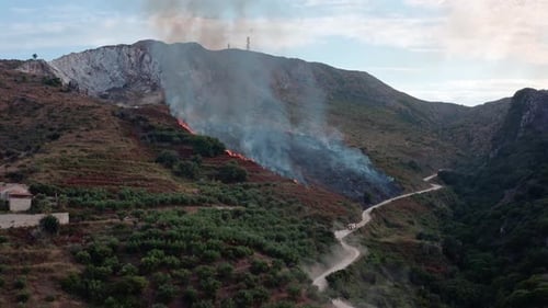 Wildfire On Hillside Aerial, Forest on Fire