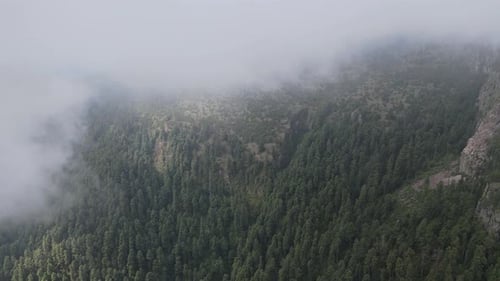 Pull back above forest in mountain, under clouds in a foggy day. Video 4k
