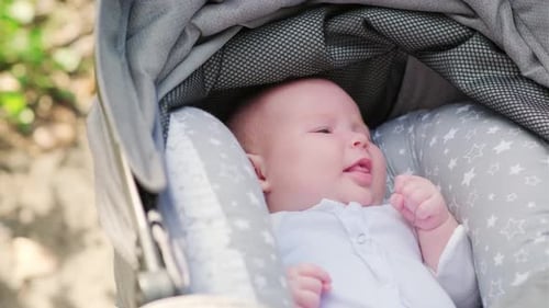 Portrait of a Newborn Baby in a Stroller in the Park
