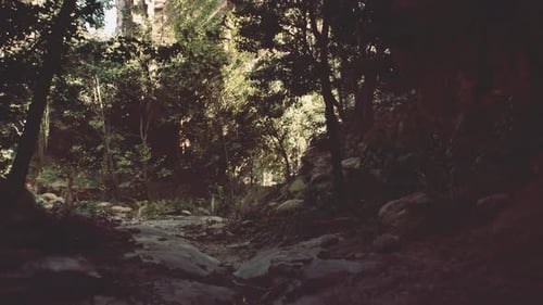 Scenic Dirt Road Surrounded By Trees and Rocks Mountain Path