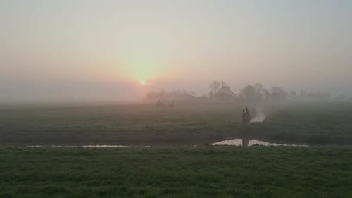 Aerial view of sunrise over misty meadow with horses, Netherlands.