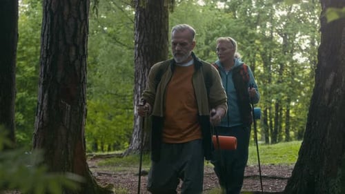Active Elderly Couple with Backpacks Trekking along Forest Path