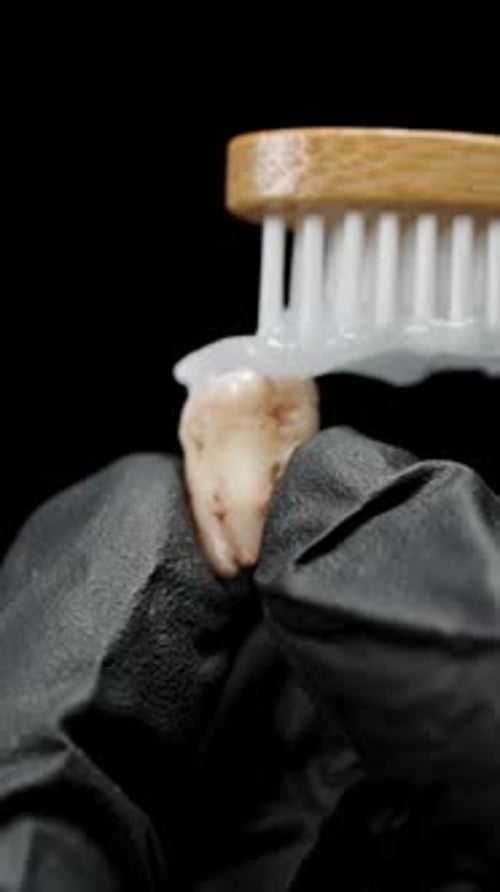 Tooth being brushed with toothbrush and toothpaste
