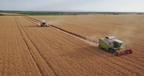 Aerial shot of a combine harvester in action on wheat field.