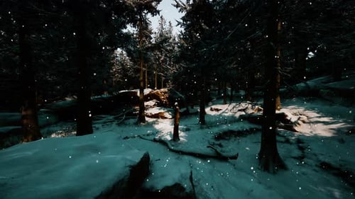 A Picturesque Winter Wonderland with a Dense Forest Covered in a Blanket of Snow
