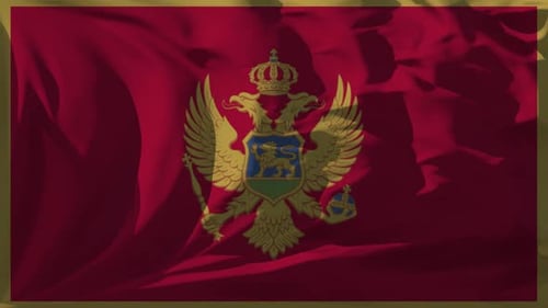 Fluid Waving National Flag Realistic Loop Animation