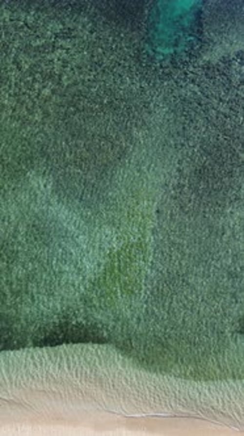 Aerial View of Beautiful Tropical Beach with Turquoise Water and Sand