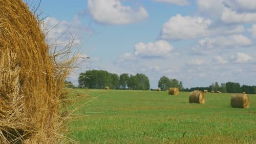 Scenery Country Environment Area, No People, Seasonal Harvesting Industry. Production Organic Bales