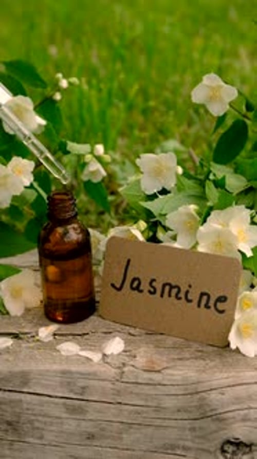 Foco seletivo de óleo essencial de jasmim e flores