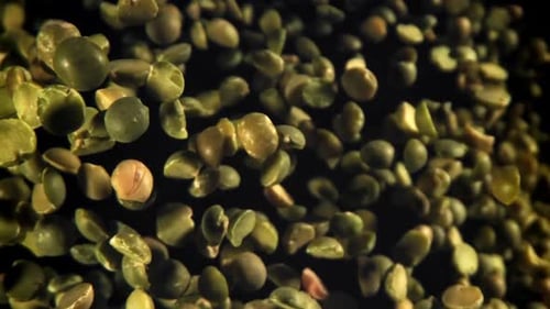 Green Peas Fly and Fall Filmed on a Highspeed Camera at 1000 Fps
