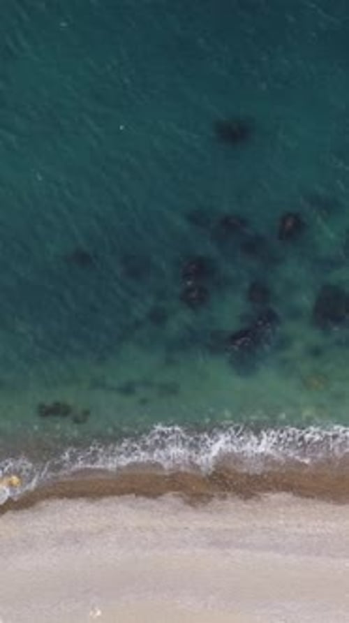 Aerial Vertical View of Beach with Wave Caressing Shore Sun Glare Small Waves on the Water Surface