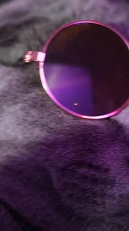 Gray Cat Wearing Sunglasses Close-Up