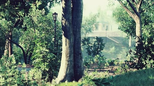 Vista panorámica del parque con campo de césped verde en la ciudad