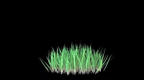 Long Grass Growing