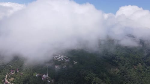 Brouillard et nuages, montagne, ville d'Ordu, Boztepe