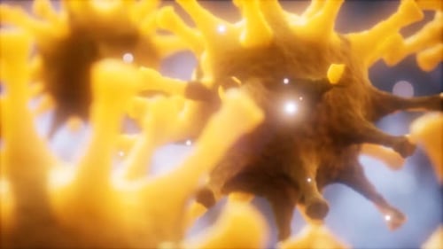 Coronavirus nCoV Respiratory Virus Concept