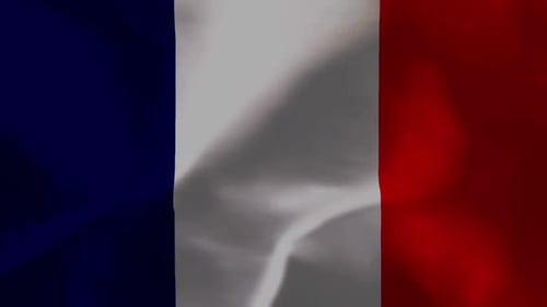 Fluid Waving Vertical French Flag Seamless Loop