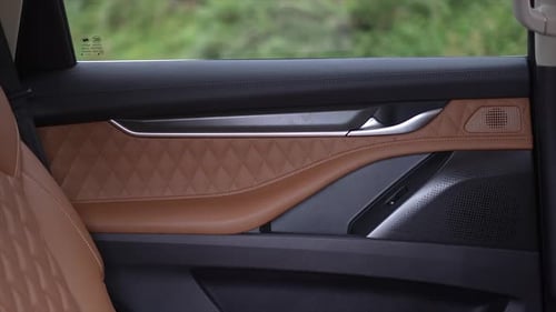 Car Door With Tan Leather Interior Detail