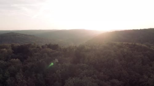 Aerial drone shot along the tall green trees in the forest. In the background the sun goes down.