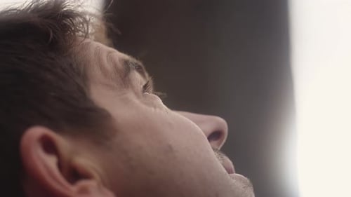 Hombre mirando un árbol