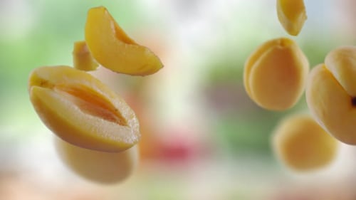 Flying Apricot and Apricots Slices in Green Garden Orchard Shiny Background