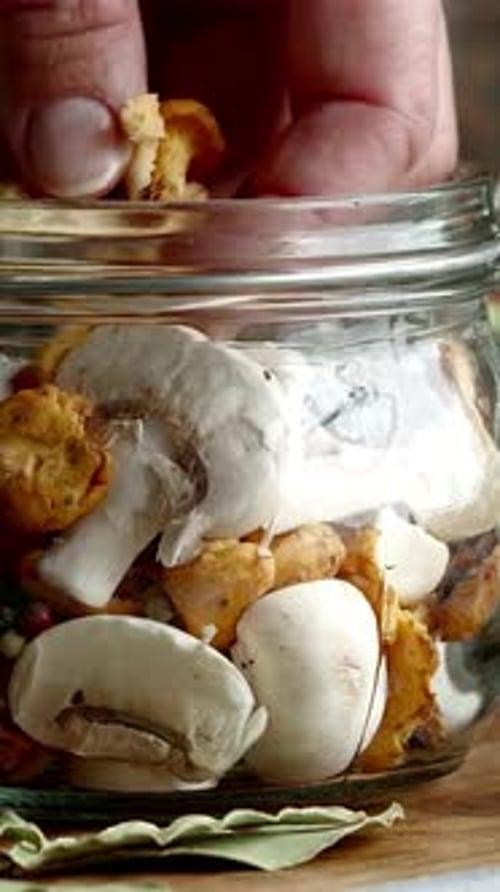 Vertical View Of Mushrooms