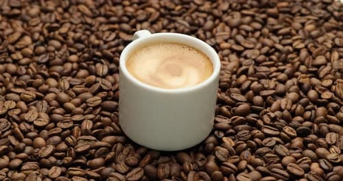 Coffee Cup on a Bed of Coffee Beans