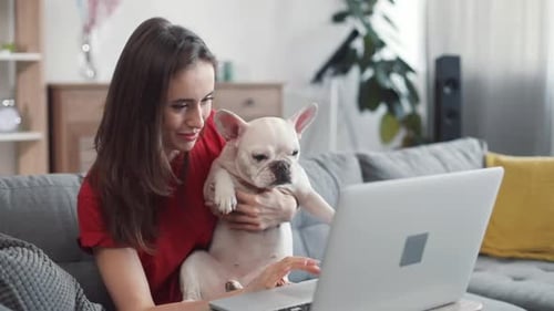 Woman Using Laptop While Holding Cute French Bulldog