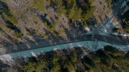 Top down rotating aerial following adventurous black suv car driving through nature lush pine forest