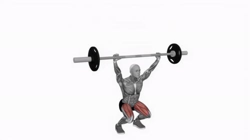 3D Animated Overhead Squat Exercise with Muscle Highlight