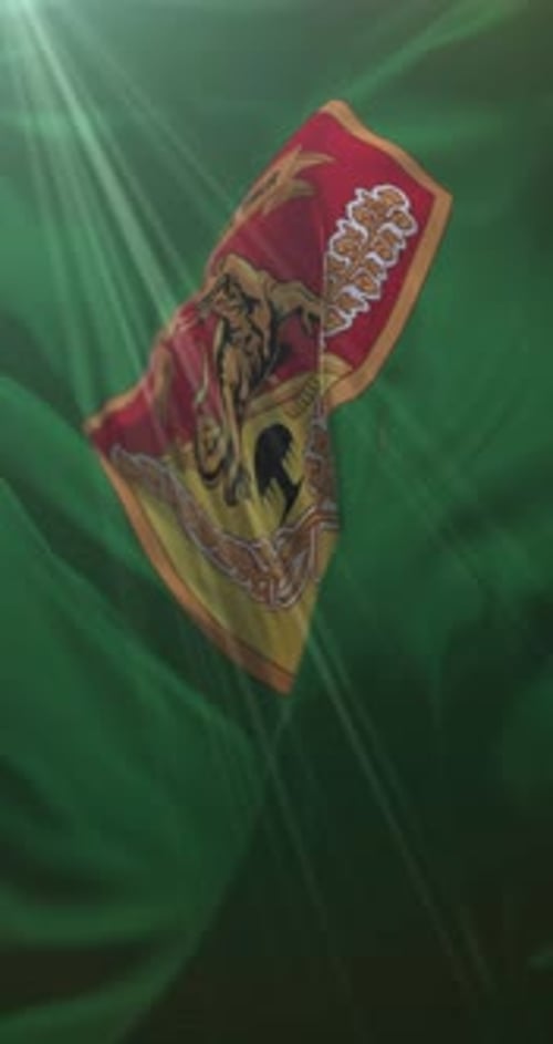 Realistic Waving Emblem Banner with Sun Rays Vertical