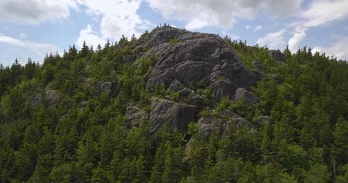Luftaufnahme von Pinien, die auf einem felsigen Berg wachsen