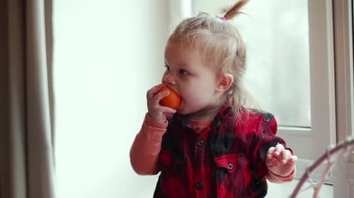 Little Girl Eats Tangerine While Standing By the Window