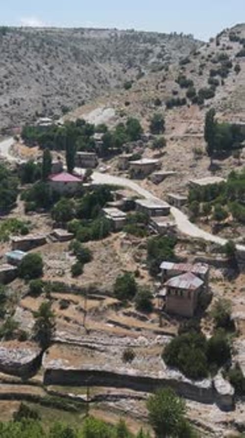 Village Hillside Covered With Greenery