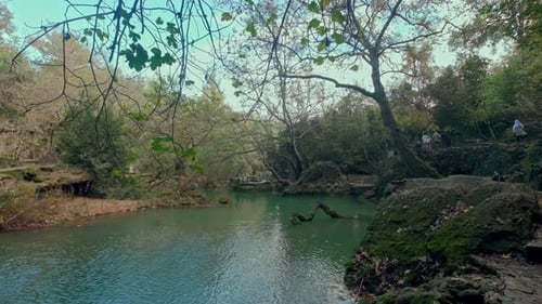 Friedlicher grüner Waldsee mit Bäumen und moosigen Felsen