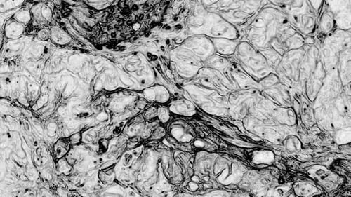 Abstract Marbleized Black And White Creative Colors Effect Background 77