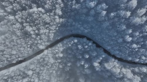 Aerial view of winding road through snowy forest, Iran.