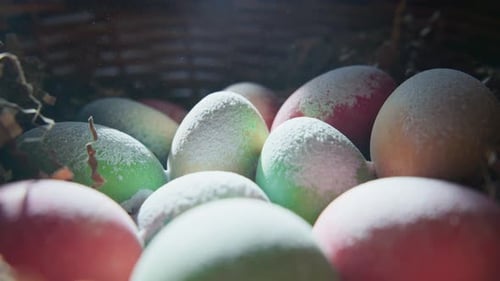 Colorful Decorated Eggs Displayed in a Basket for Spring Celebration